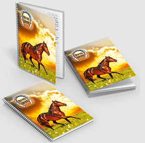 Caderno Grande - Capa Maleável