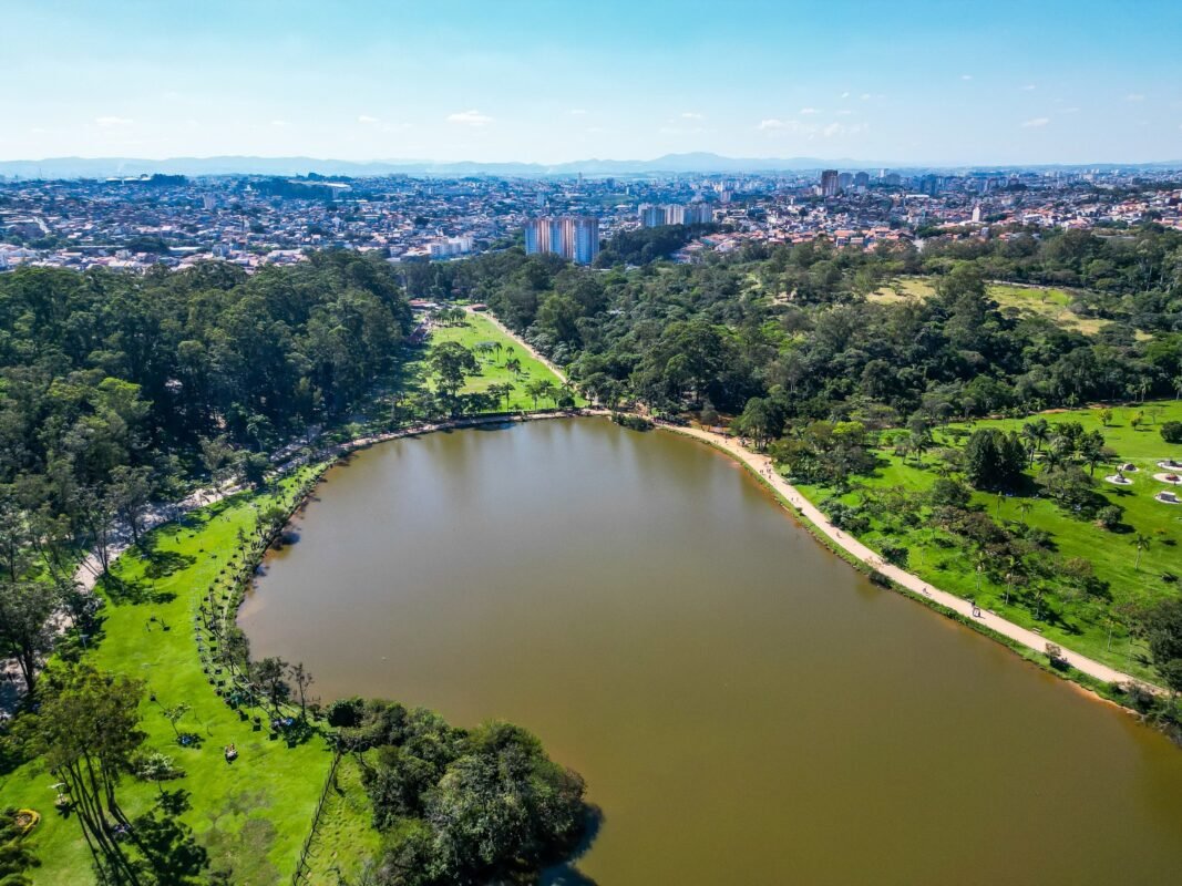grafica no Parque do Carmo